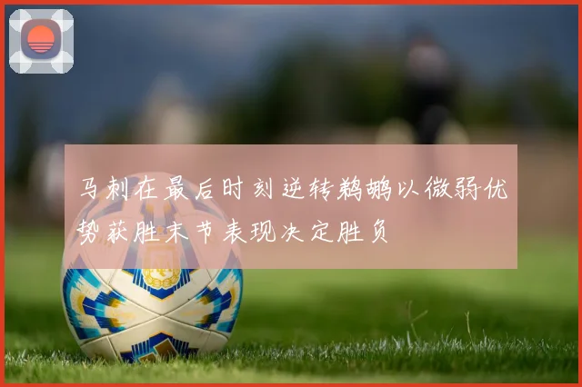 马刺在最后时刻逆转鹈鹕以微弱优势获胜末节表现决定胜负