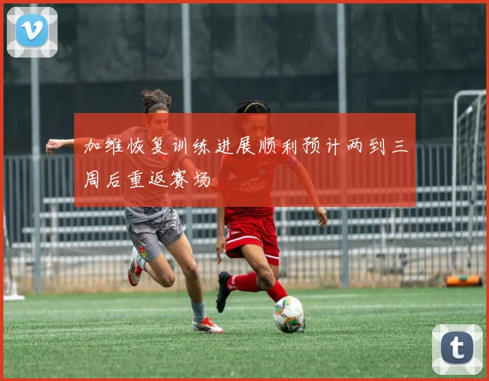 加维恢复训练进展顺利预计两到三周后重返赛场