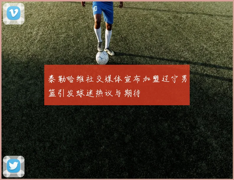 泰勒哈维社交媒体宣布加盟辽宁男篮引发球迷热议与期待