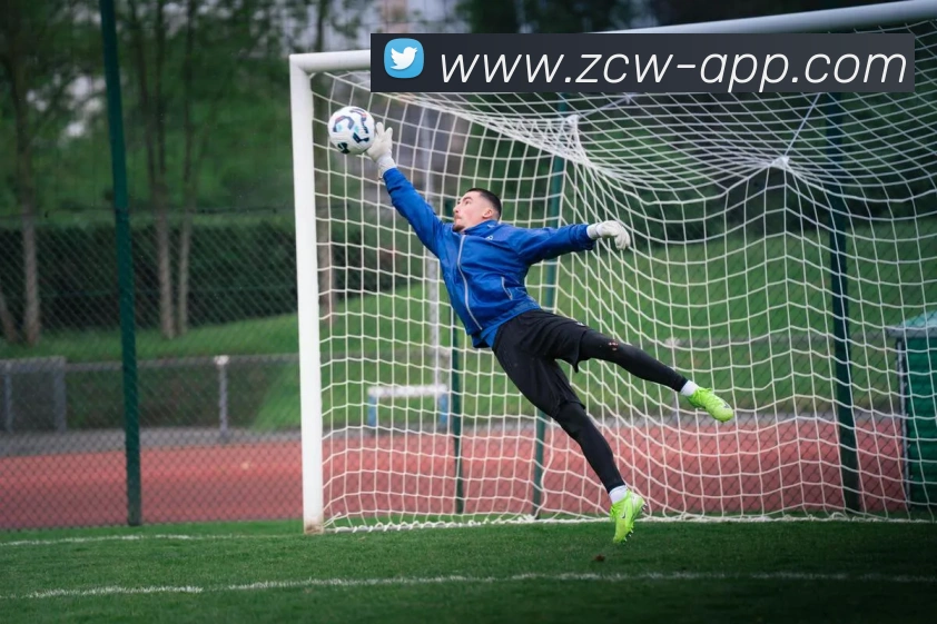 足彩网平台生态图